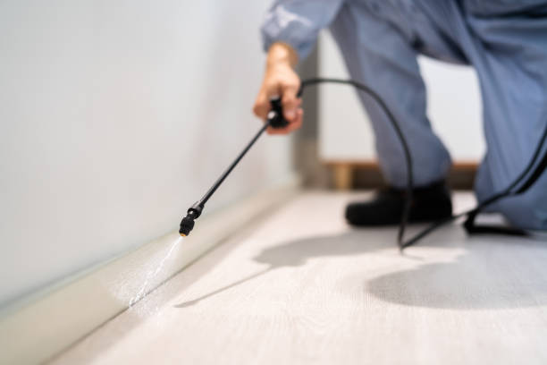 Bed Bug Pre-Treatment Preparation Assessment in Hartford City