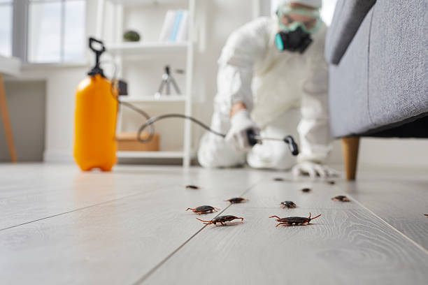Post-Treatment Bed Bug Interceptor Monitoring in Hartford City
